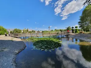 UCARI LAKE - UCARI GÖLETİ