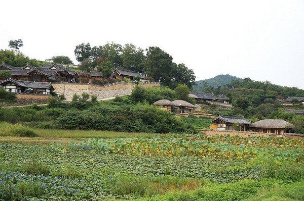 韓国の歴史村：河回と良洞｜伝統的な韓屋が残る歴史集落