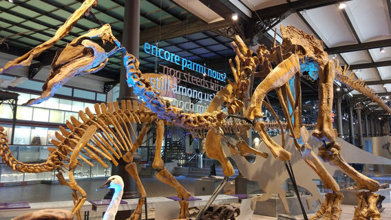 Museu de Ciências Naturais