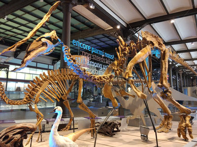 Museo di Scienze Naturali