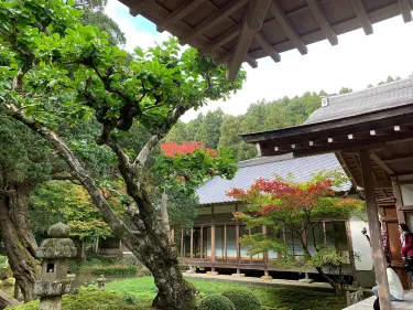 Itoshima