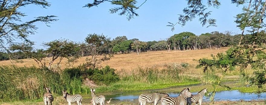 Mukuvisi Woodlands