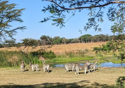 Mukuvisi Woodlands