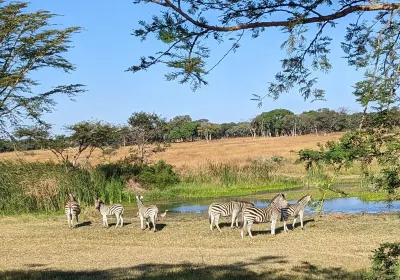 Mukuvisi Woodlands