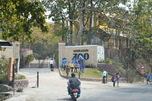 데라둔 주