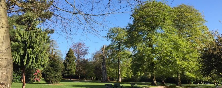 Warley Woods