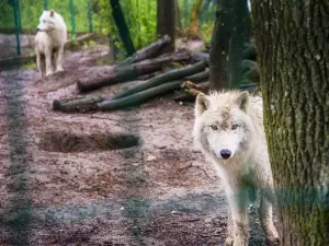 Rivne Zoo