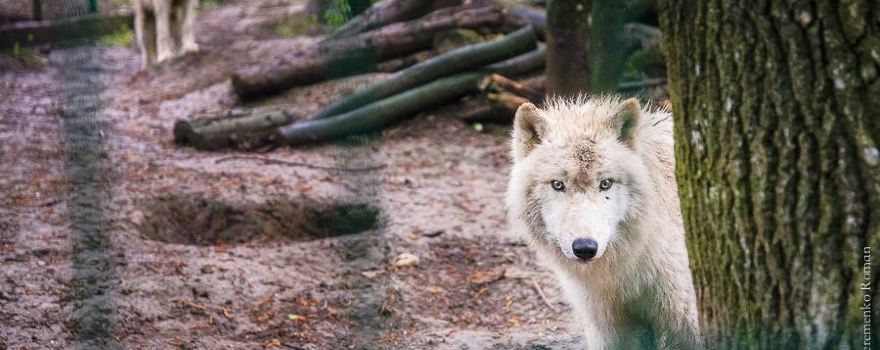 Rivne Zoo