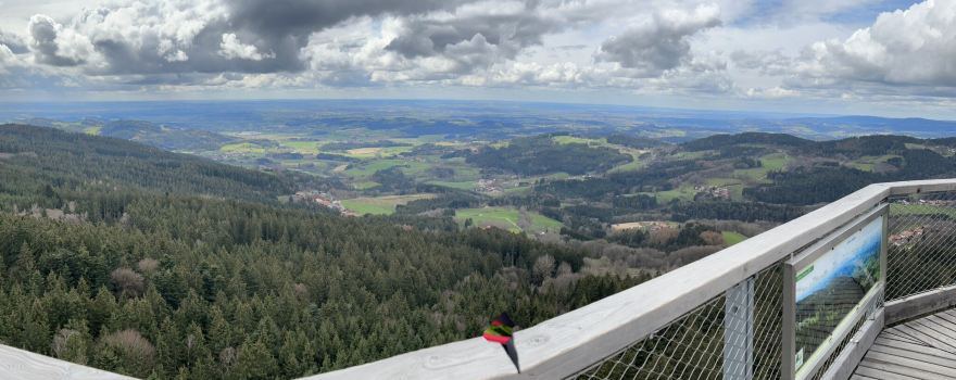 Waldwipfelweg