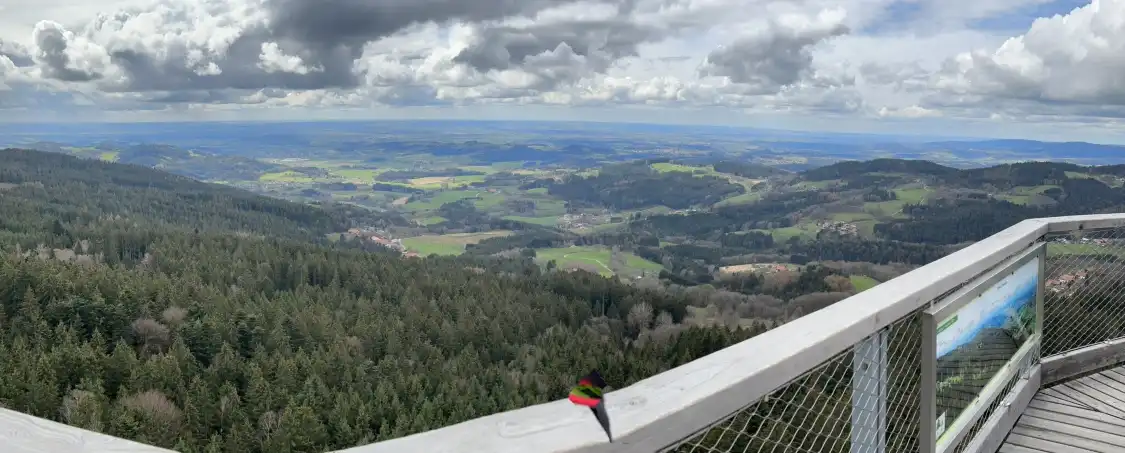 Hotels near Waldwipfelweg