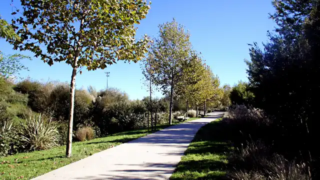 Parc St Vicens