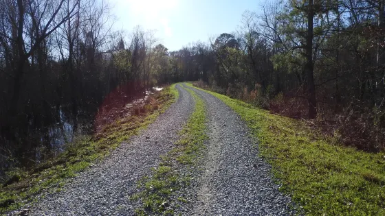 Eufaula National Wildlife Refuge