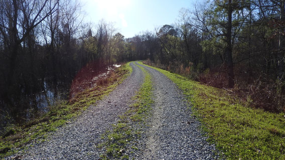 Eufaula National Wildlife Refuge