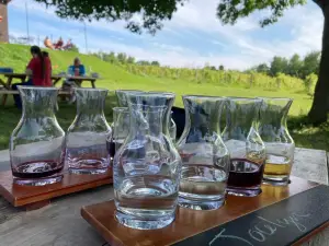 Shelburne Vineyard