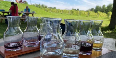 Shelburne Vineyard