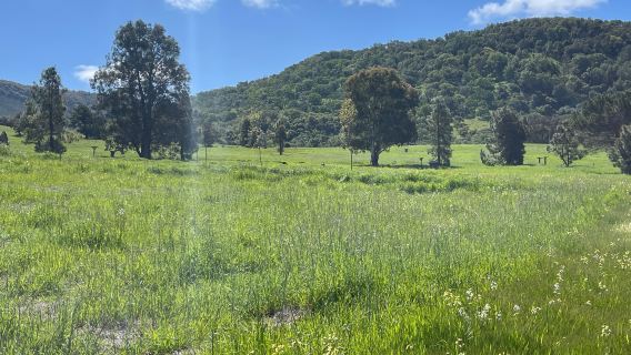 Skyline Wilderness Park