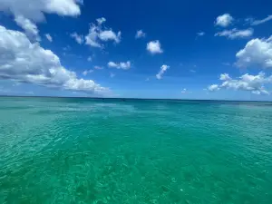 Tiami Catamaran Cruises