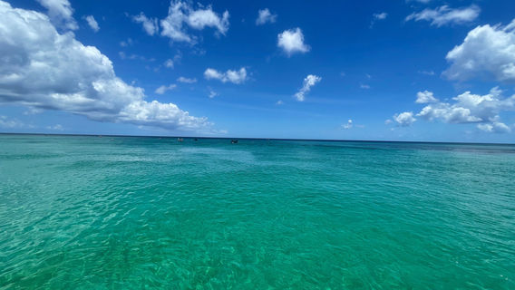 Tiami Catamaran Cruises