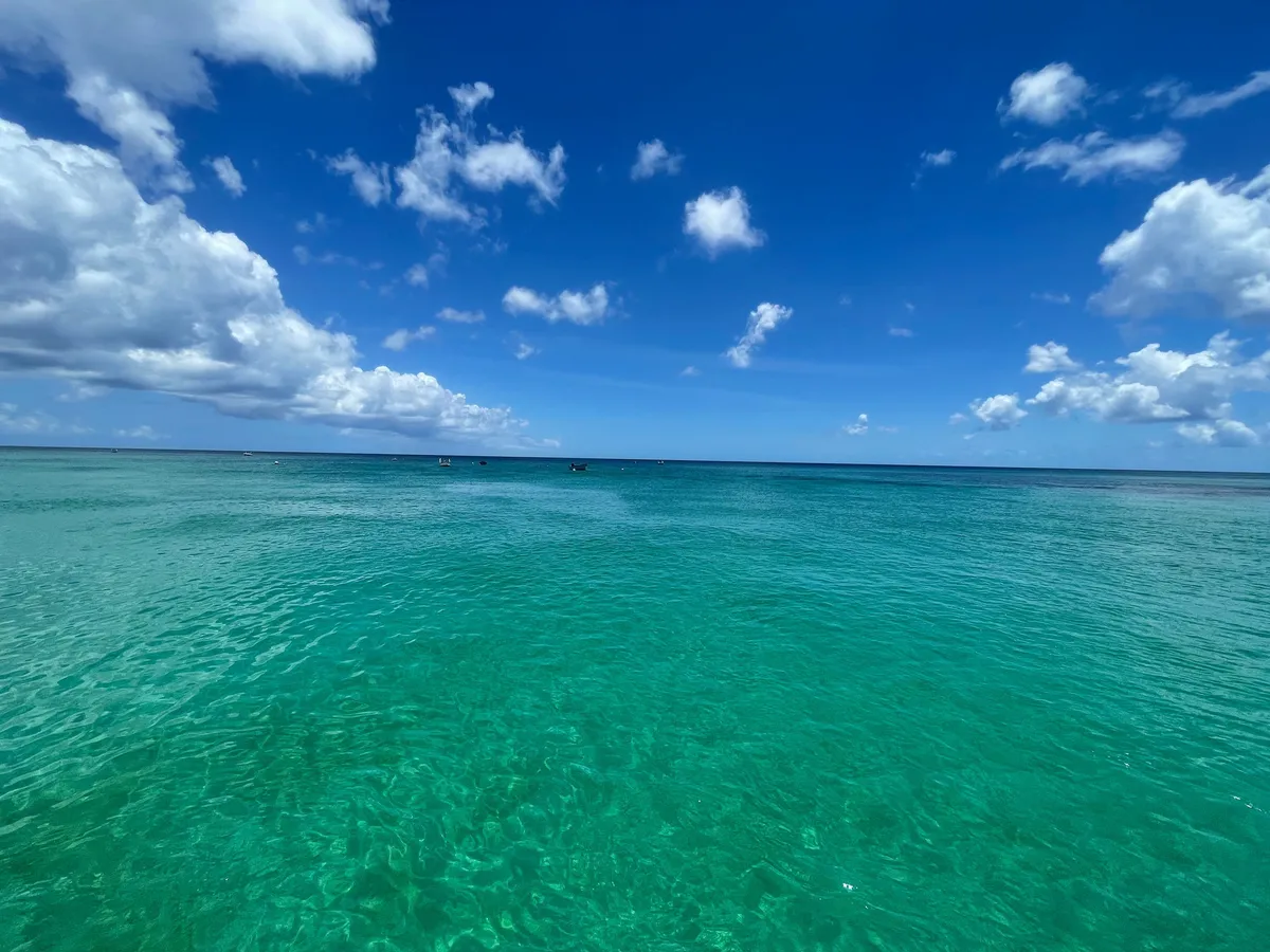 Tiami Catamaran Sailing Cruises