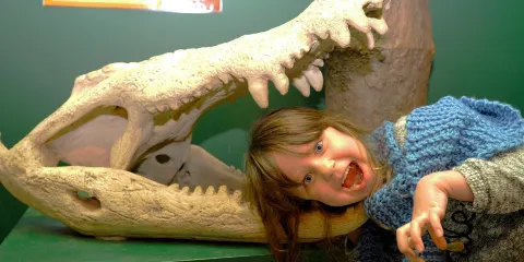 Torquays Dinosaur World