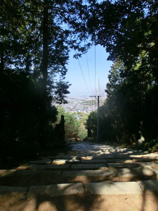5_Owari Fuji