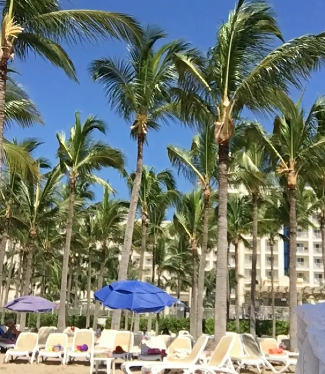 Nuevo Vallarta