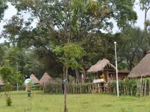 Kitale Museum