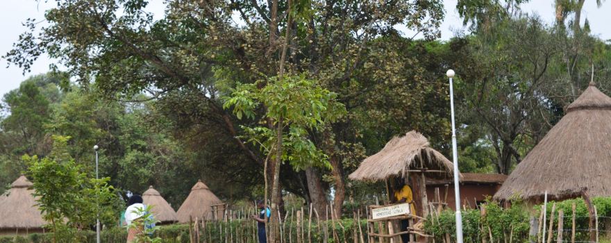 Kitale Museum