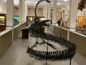 Museum of Geology