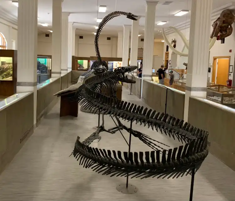 Hotels in der Nähe von Museum of Geology