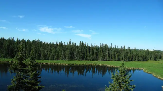 3_Kerry Wood Nature Centre