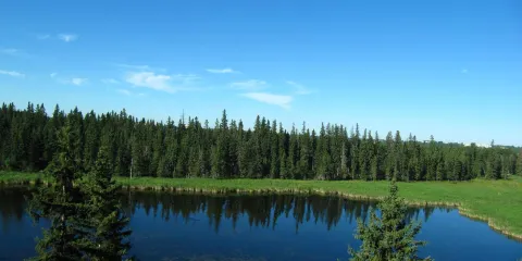 Kerry Wood Nature Centre