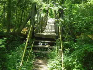 Sanilac Petroglyphs Historic State Park