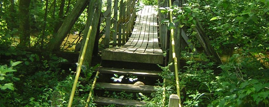 Sanilac Petroglyphs Historic State Park