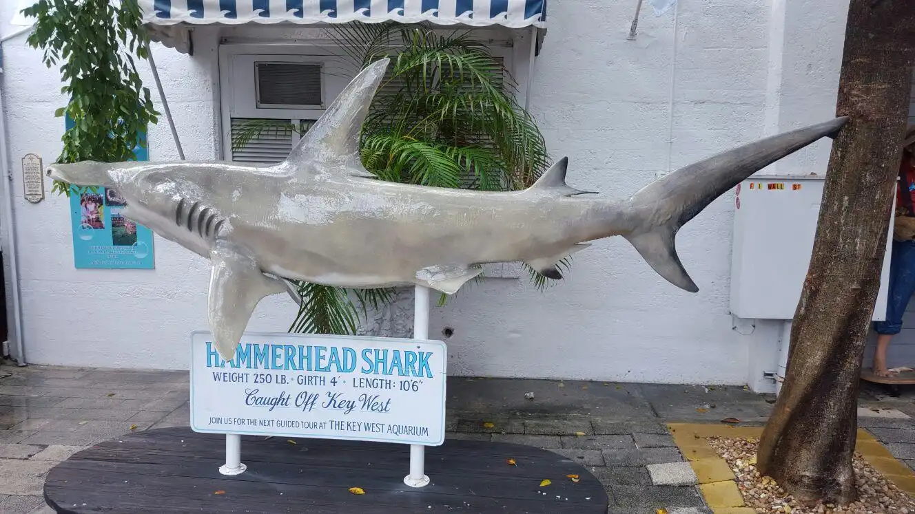 Hotel dekat Key West Shipwreck Museum