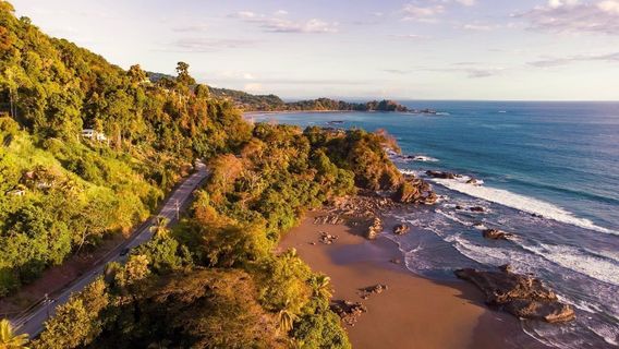 Sunset Surf Dominical - Day Lessons