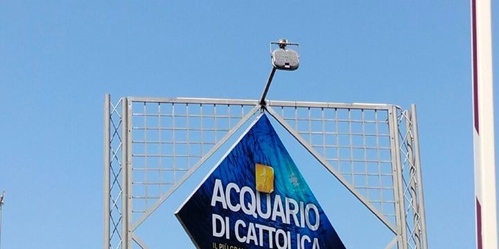 Aquarium of Cattolica