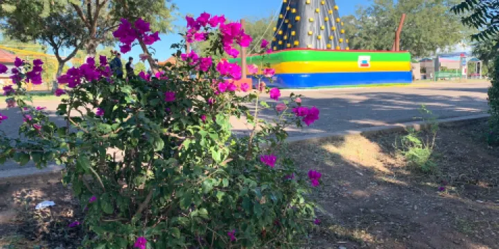 La Laguna Del Nainari