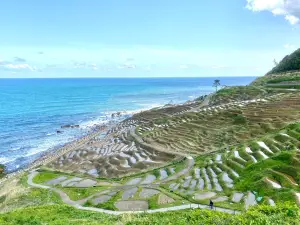 Roadside Station Senmaida Pocket Park