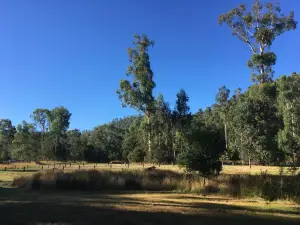 Murrindindi Scenic Reserve
