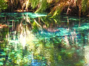Kikuletwa Hotsprings