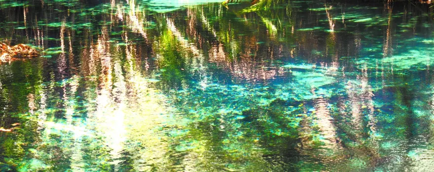 Kikuletwa Hotsprings