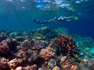 Magical Munda Dive Centre