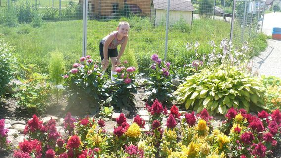 Birds Park "Vorob'i"