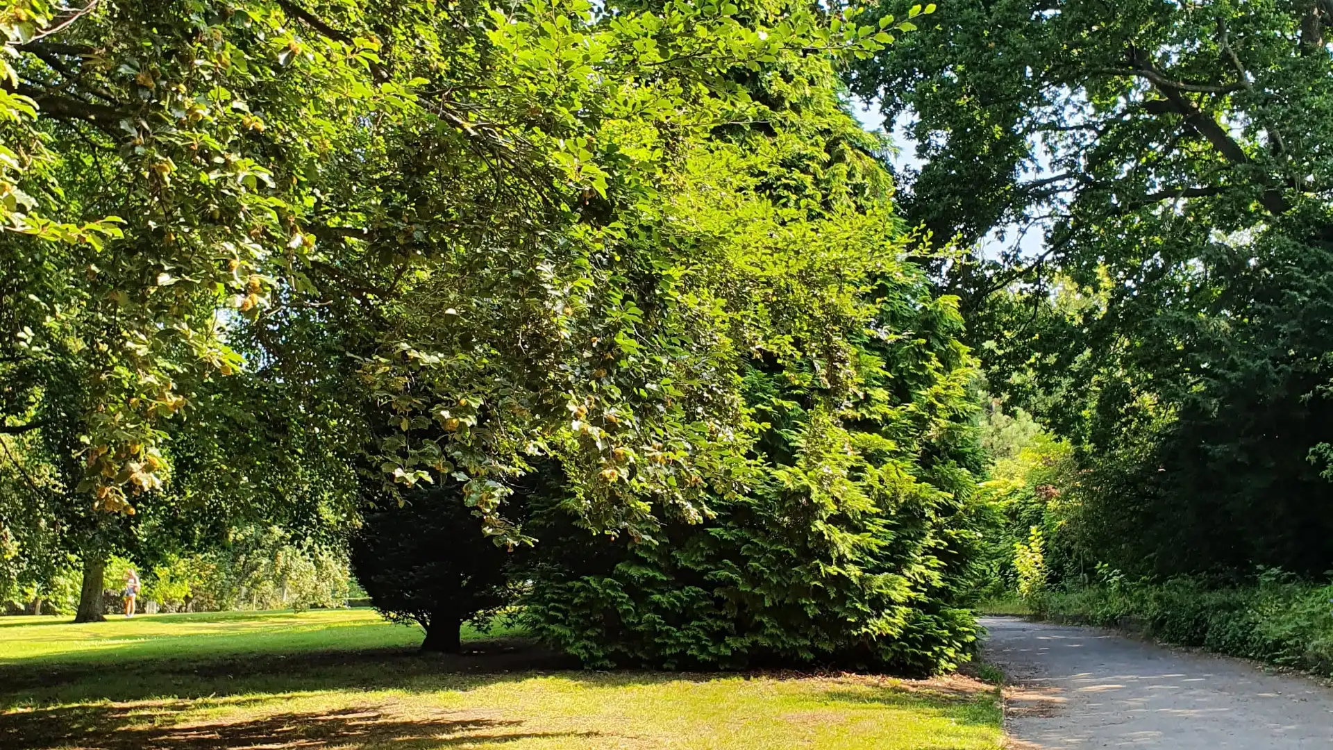 Hotels near Forest Recreation Ground