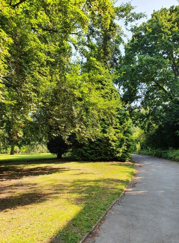 Forest Recreation Ground