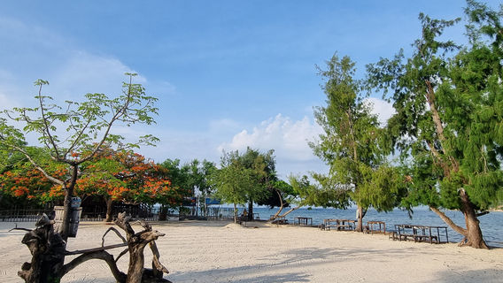 Gili Sudak