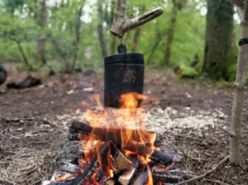 Insight Activities (New Forest)