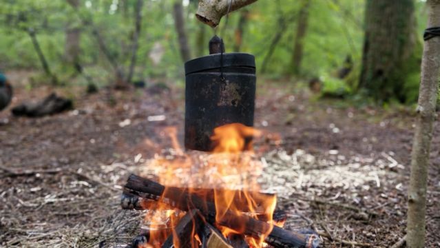 Insight Activities (New Forest)