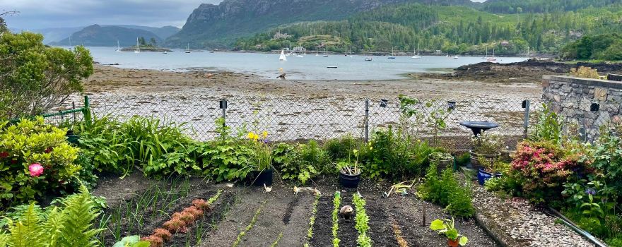 Plockton